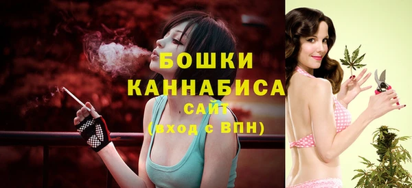 COCAINE Гусь-Хрустальный