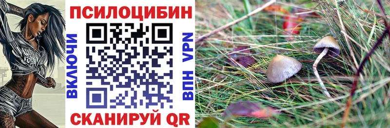 Галлюциногенные грибы Magic Shrooms купить наркоту Калязин